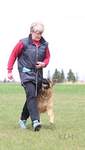 Rivergreen working dog Working German Shepherd, BH preparation